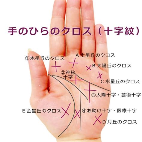 財運 手相|手相占いで重要な財運線とは？形や長さ、太さが意味する運勢に。